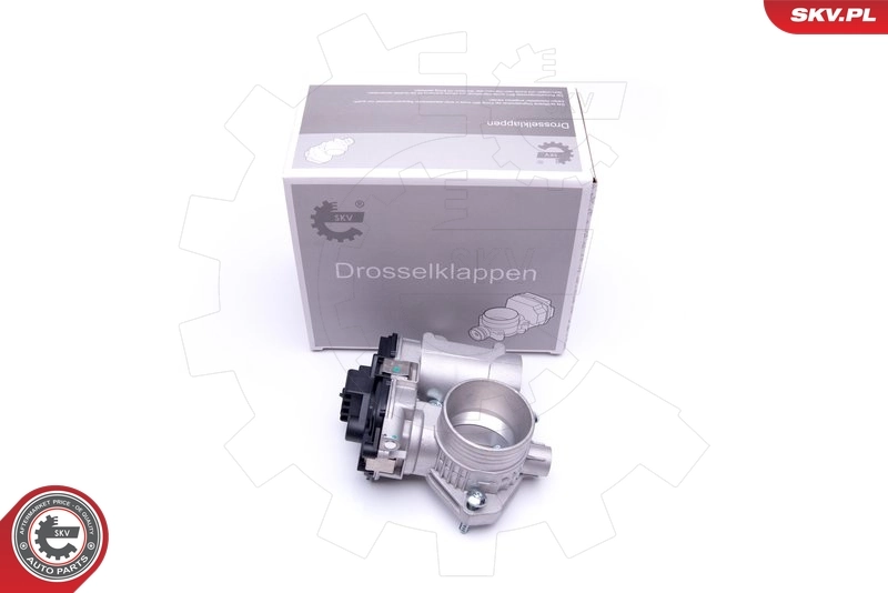 Throttle Body